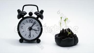 时间流逝概念时钟走在植物生长附近，时间推移移动快。